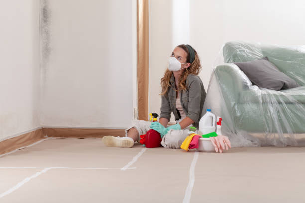 Reliable Mold Inspection contractor in Park Ridge, NJ by WQB Mold Removal