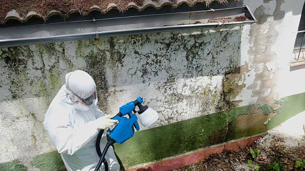 Top rated local Mold Inspection specialists in Park Ridge, NJ